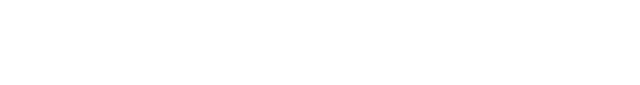 VIZUETE